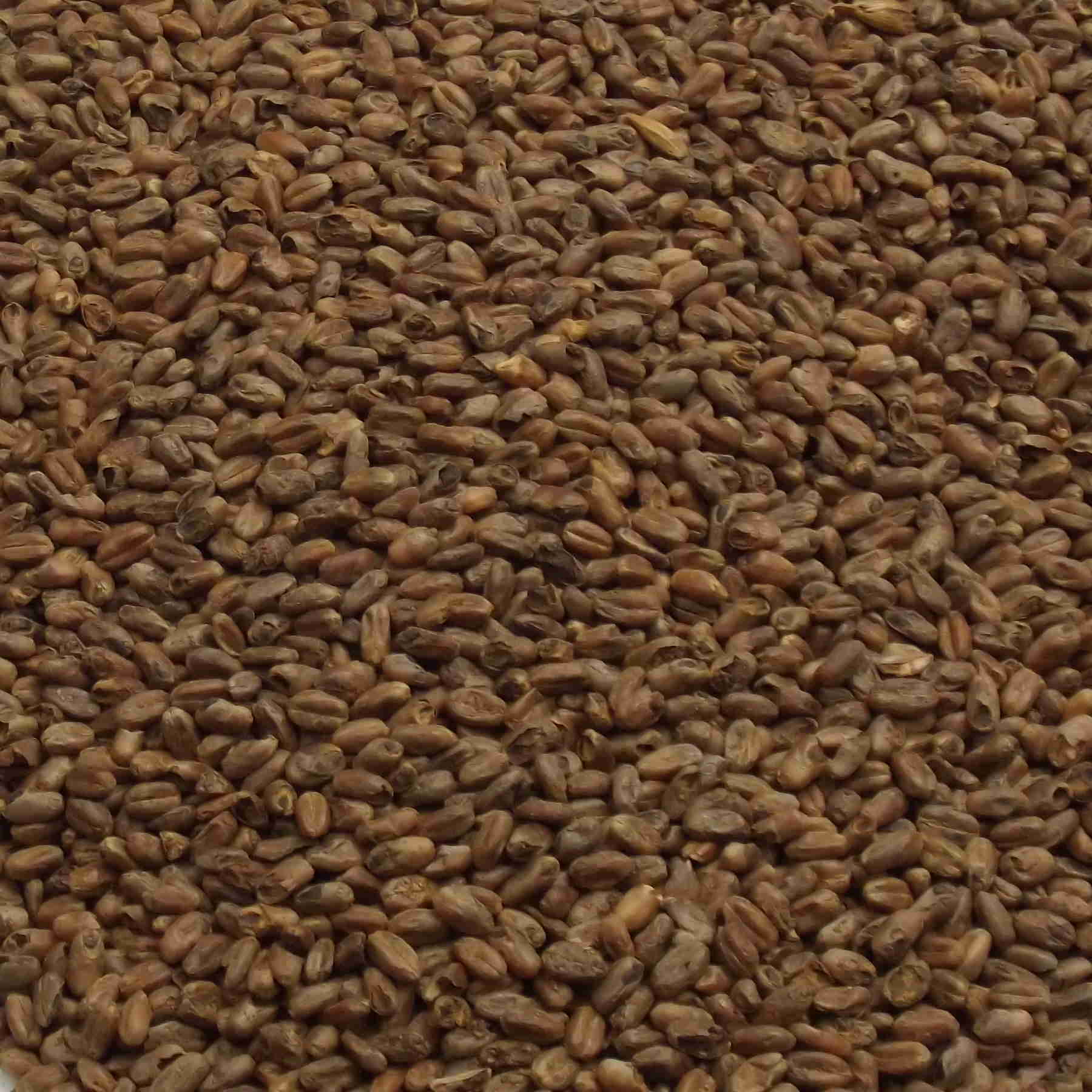 CARA WHEAT, Weyermann, EBC: 100 – 140 CARA WHEAT, Weyermann, EBC: 100 – 140