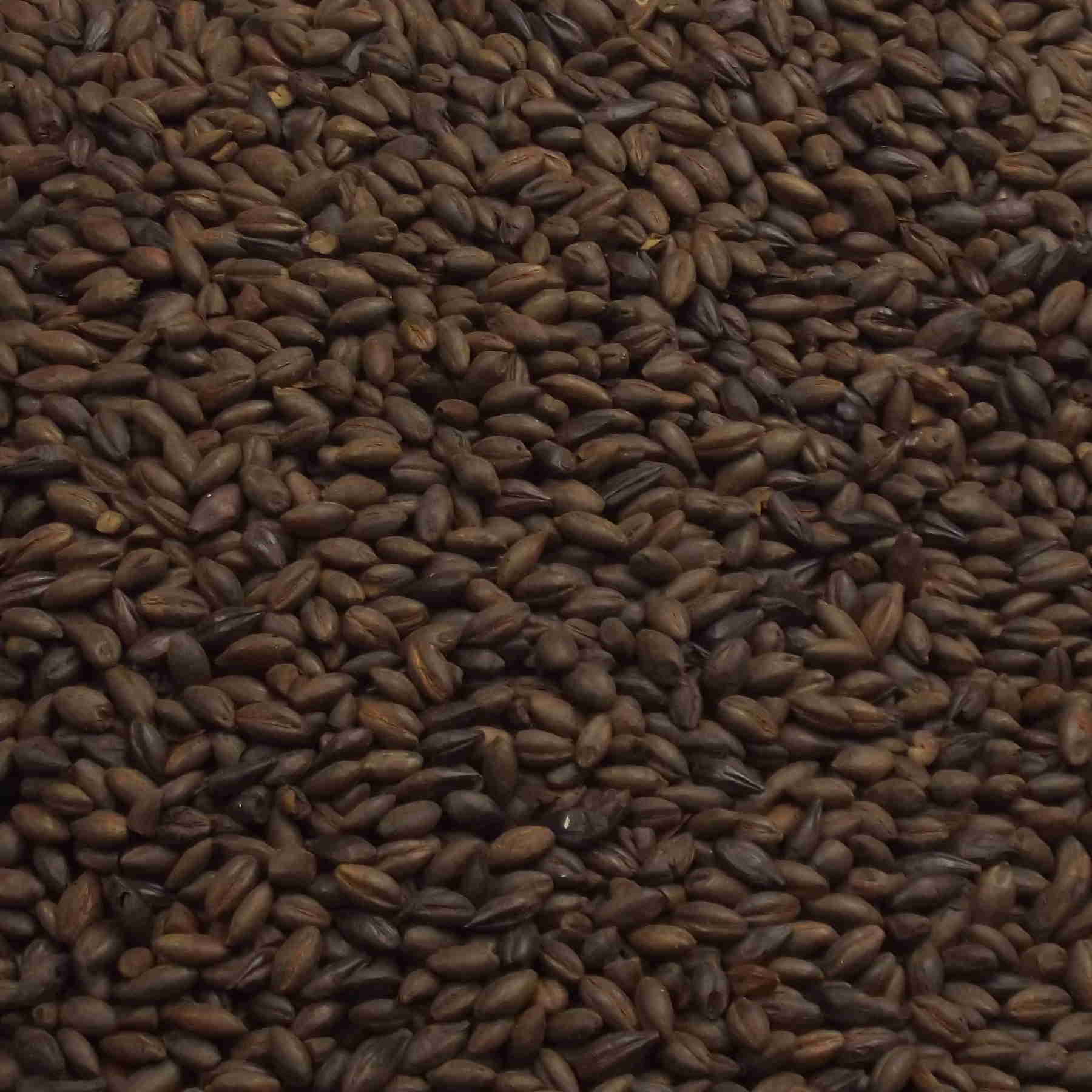 CARAFA 1 Dehusked, Weyermann, EBC: 800 - 900