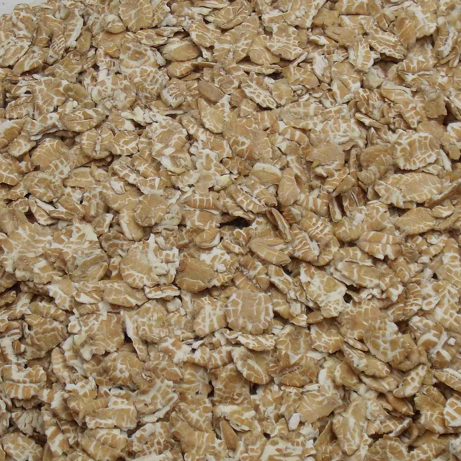 Flaked Wheat (hot rolled wheat), Danish Agriculture