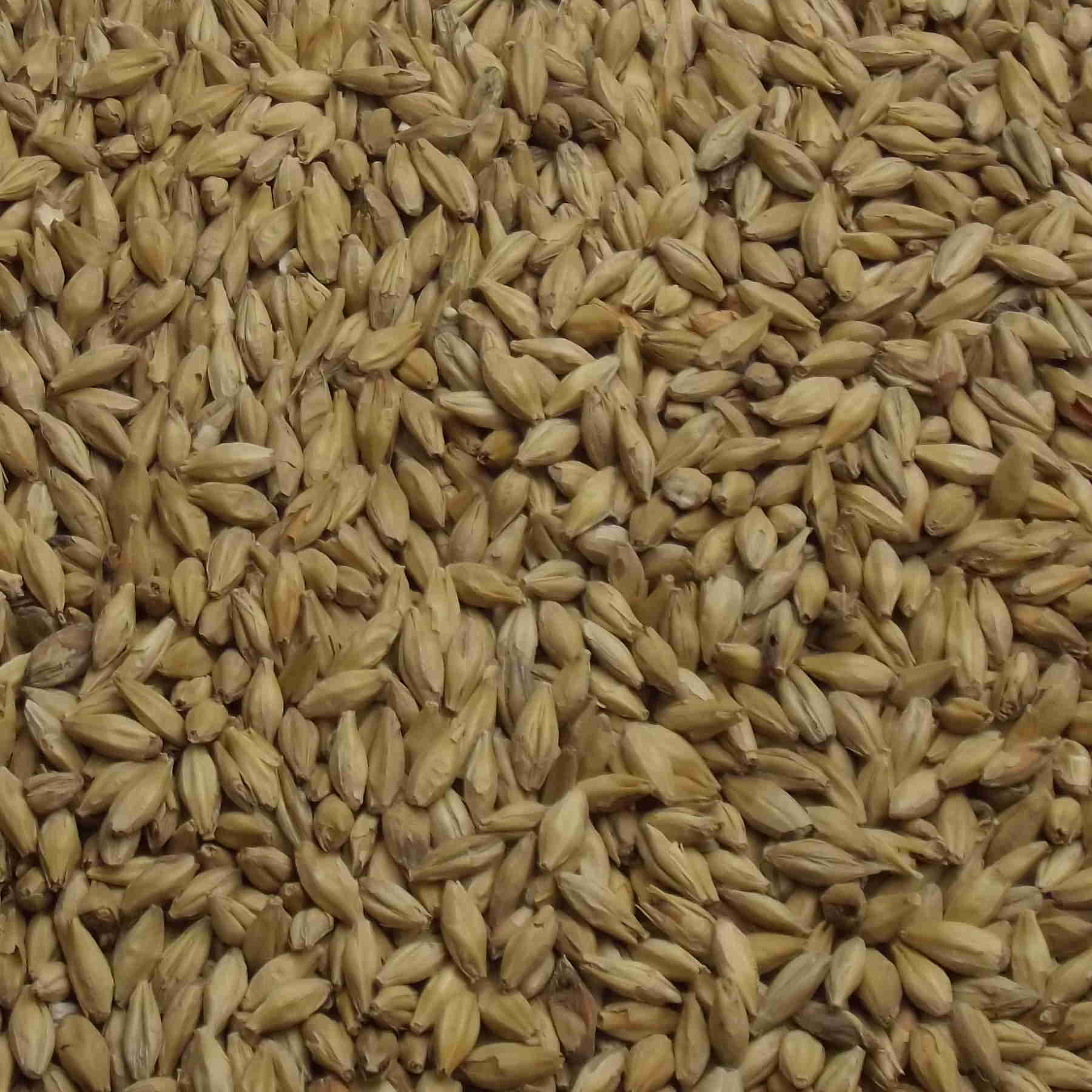 Münchner Malt, Fuglsang, EBC: 12 – 16 Münchner Malt, Fuglsang, EBC: 12 – 16