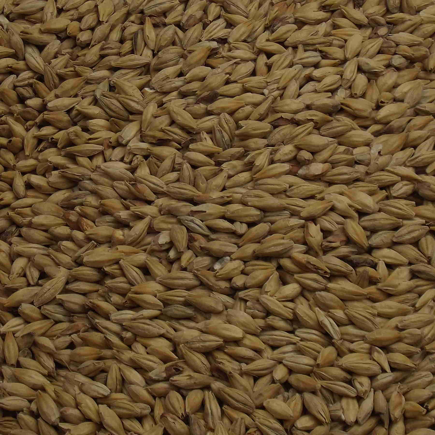 Munich Malt Type 2, Weyermann, EBC: 20 – 25 Munich Malt Type 2, Weyermann, EBC: 20 – 25