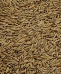 Oat Malt, Fawcett, EBC: 4.0