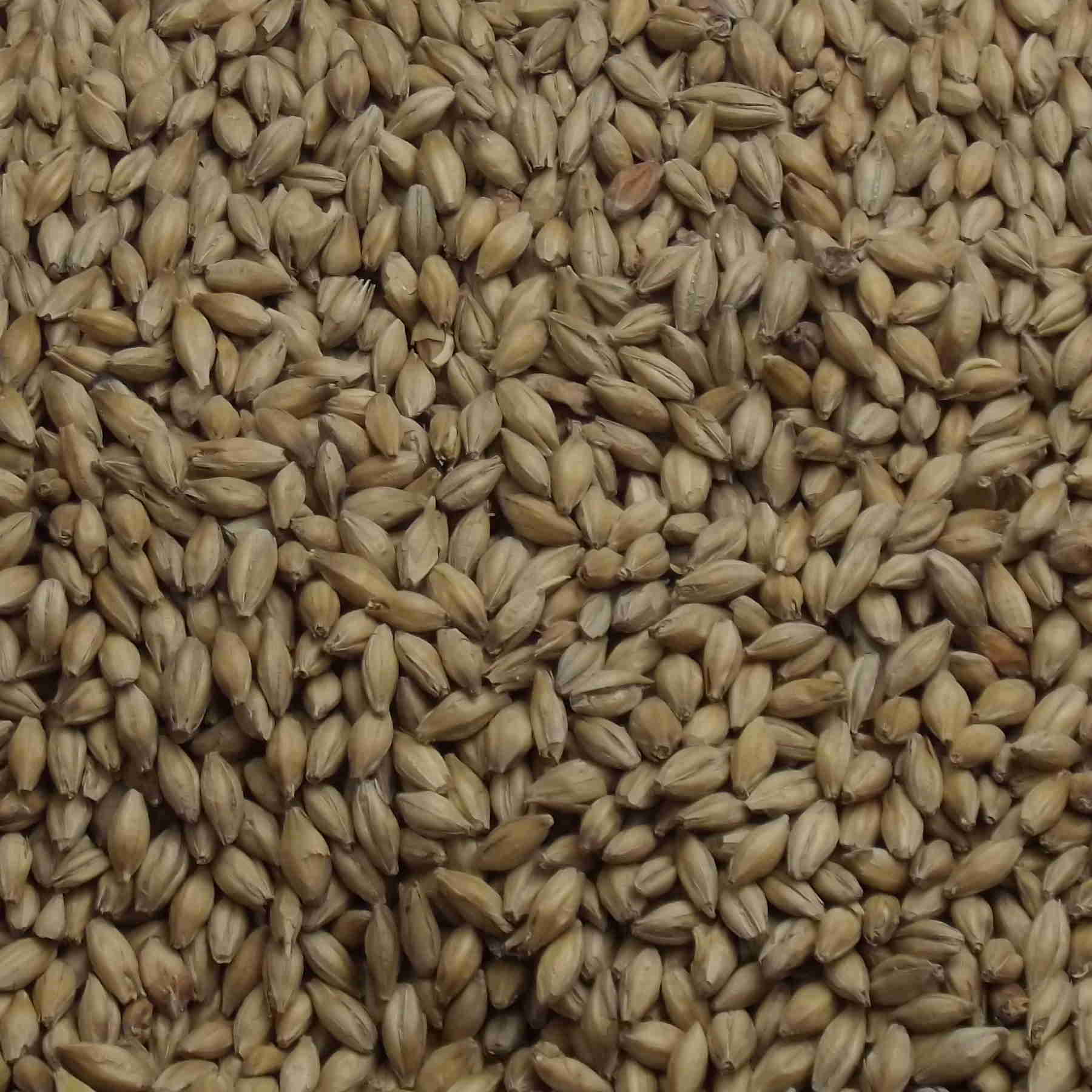Pearl Malt, Fawcett, EBC: 4,5 – 5,5 Pearl Malt, Fawcett, EBC: 4,5 – 5,5
