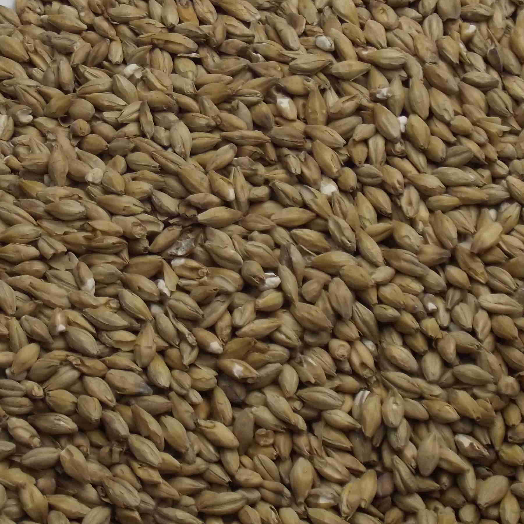 Peated Malt, Fawcett, EBC: 3,4 Peated Malt, Fawcett, EBC: 3,4