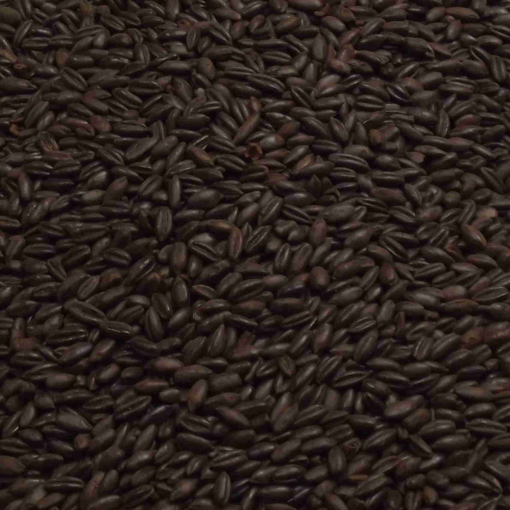 Roasted Rye, Weyermann, EBC: 500 – 800