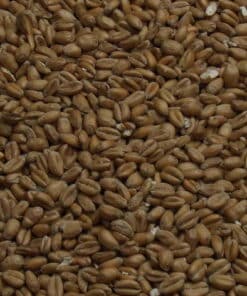 Torrefied Wheat, Fawcett, EBC: 3.5